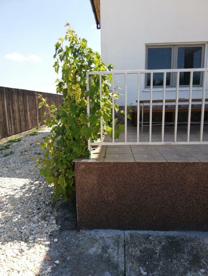 Vila Ekooos Brașov Exterior foto