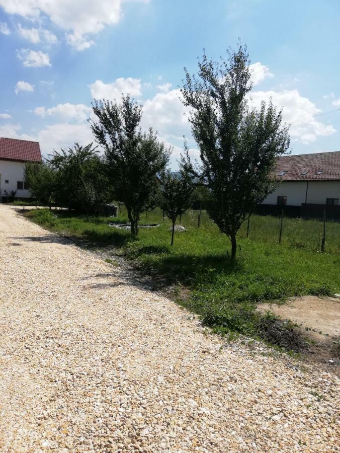 Vila Ekooos Brașov Exterior foto